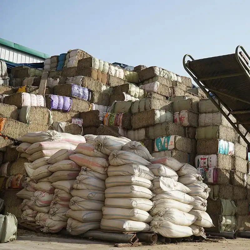 Bulk dried mugwort material stacked in bales and sacks before processing
