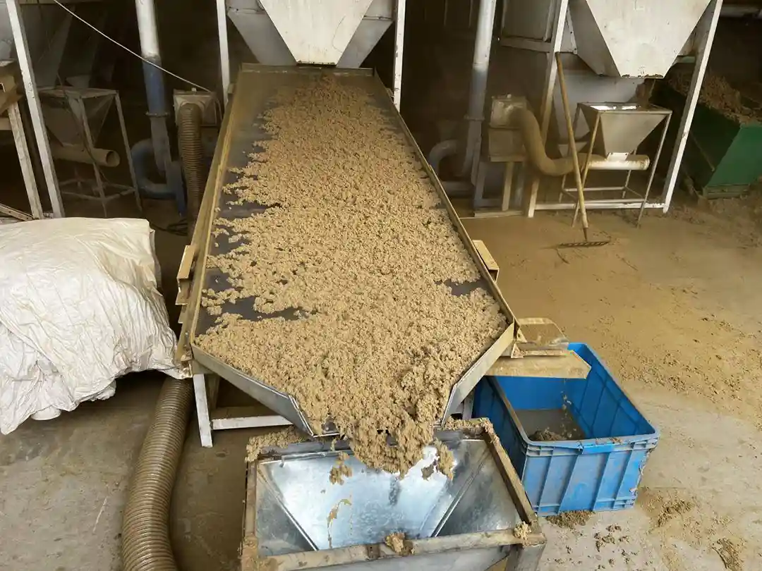 Fibrous plant material moving through processing equipment into a collection area